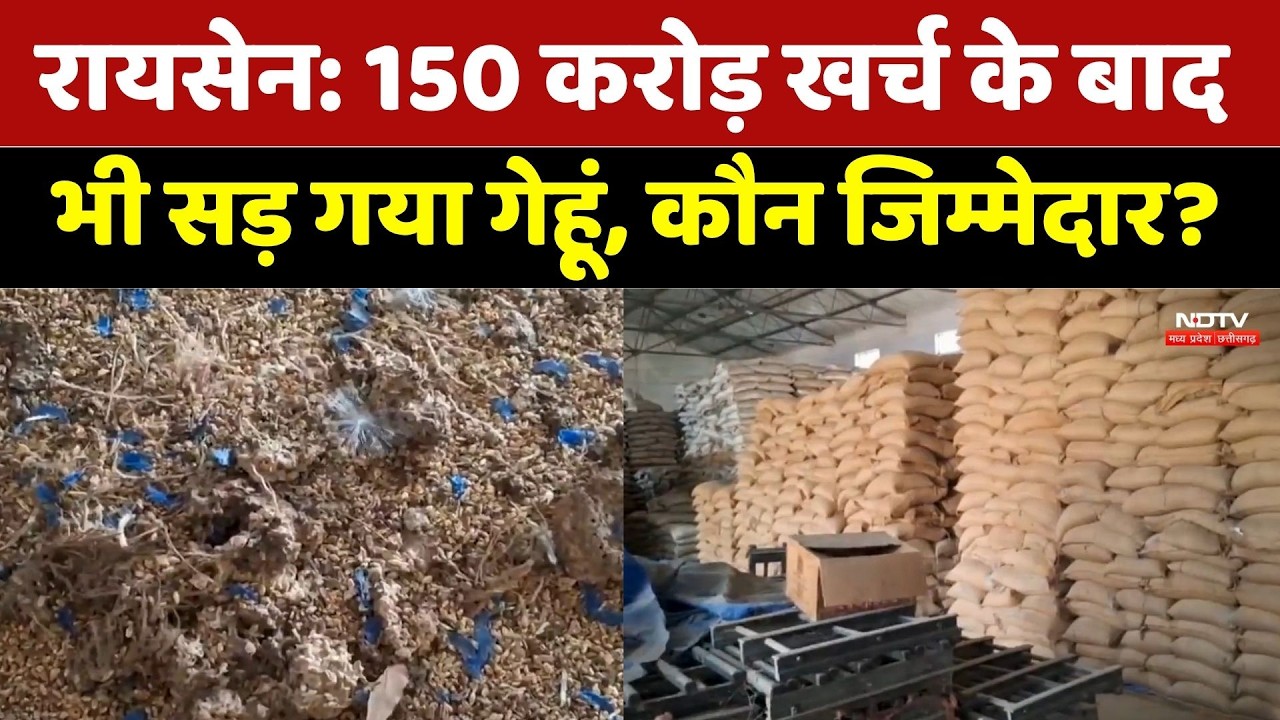 Raisen Warehouse Scam: 150 करोड़ खर्च के बाद भी सड़ गया गेहूं, कौन जिम्मेदार?। Top News । Farmers