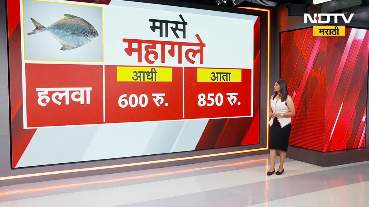 Iran-Israel युद्धाचा फटका, मासे महागले | NDTV मराठी