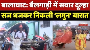 Balaghat Traditional Wedding: बैलगाड़ी में सवार दूल्हा, सज-धजकर निकली &lsquo;लगुन&rsquo; बारात