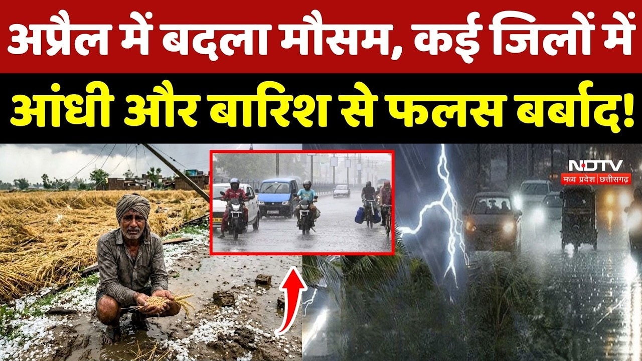 Weather Alert: April में बदला मौसम, कई जिलों में आंधी और Rain से फलस बर्बाद!