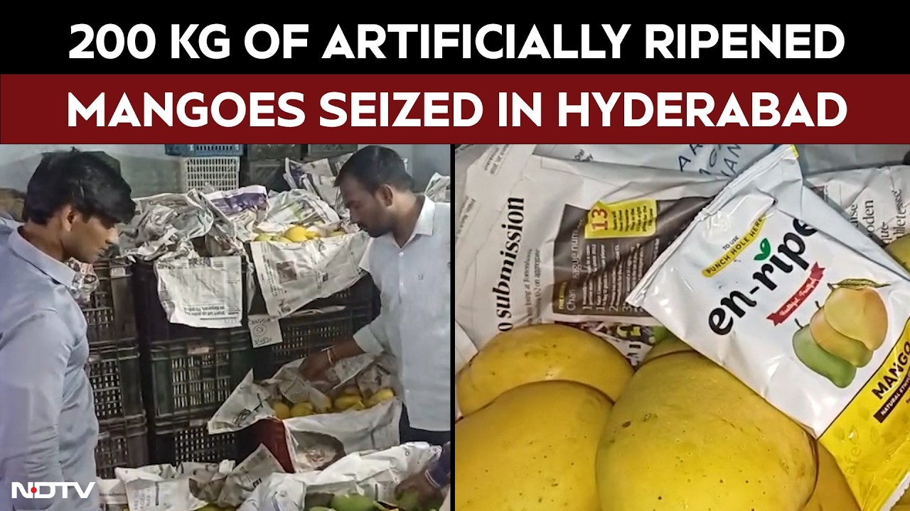 Telangana News | 200 kg Of Artificially Ripened Mangoes Seized In Hyderabad, Fruit Trader Arrested