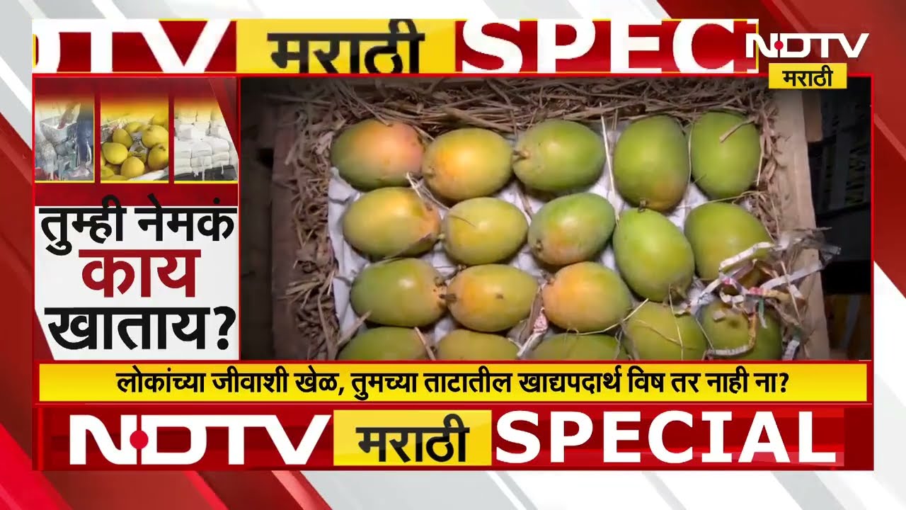 Special Report | जीवघेणं पनीर, अद्रक-लसूण पेस्ट, बनावट सेन्सोडाईनसोबत आता आंबा पिकवण्यासाठी रसायन?