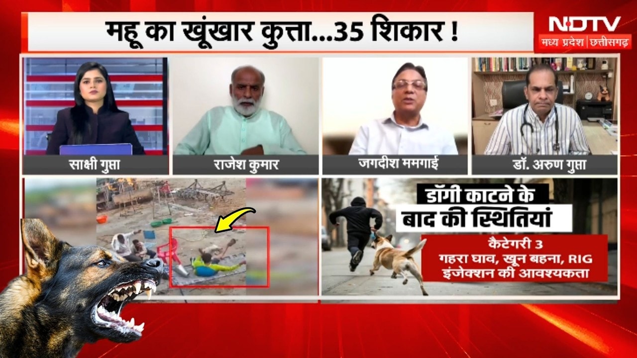 Dog Attack: Indore के Mhow का खूंखार कुत्ता, 35 का कर चूका है शिकार!
