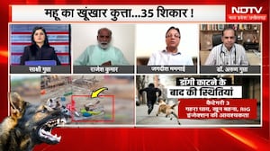 Dog Attack: Indore के Mhow का खूंखार कुत्ता, 35 का कर चूका है शिकार!