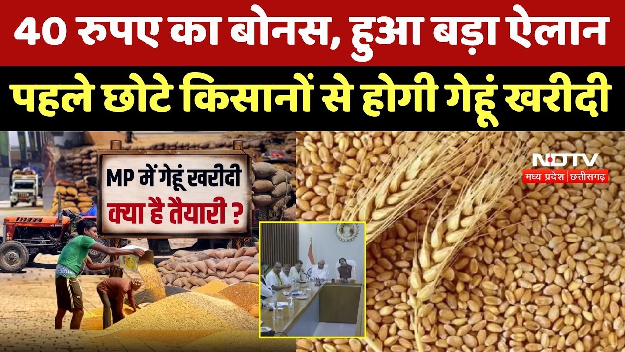 Wheat Procurement: 40 रुपए का Bonus, हुआ बड़ा ऐलान, पहले छोटे किसानों से होगी गेहूं खरीदी। Top News
