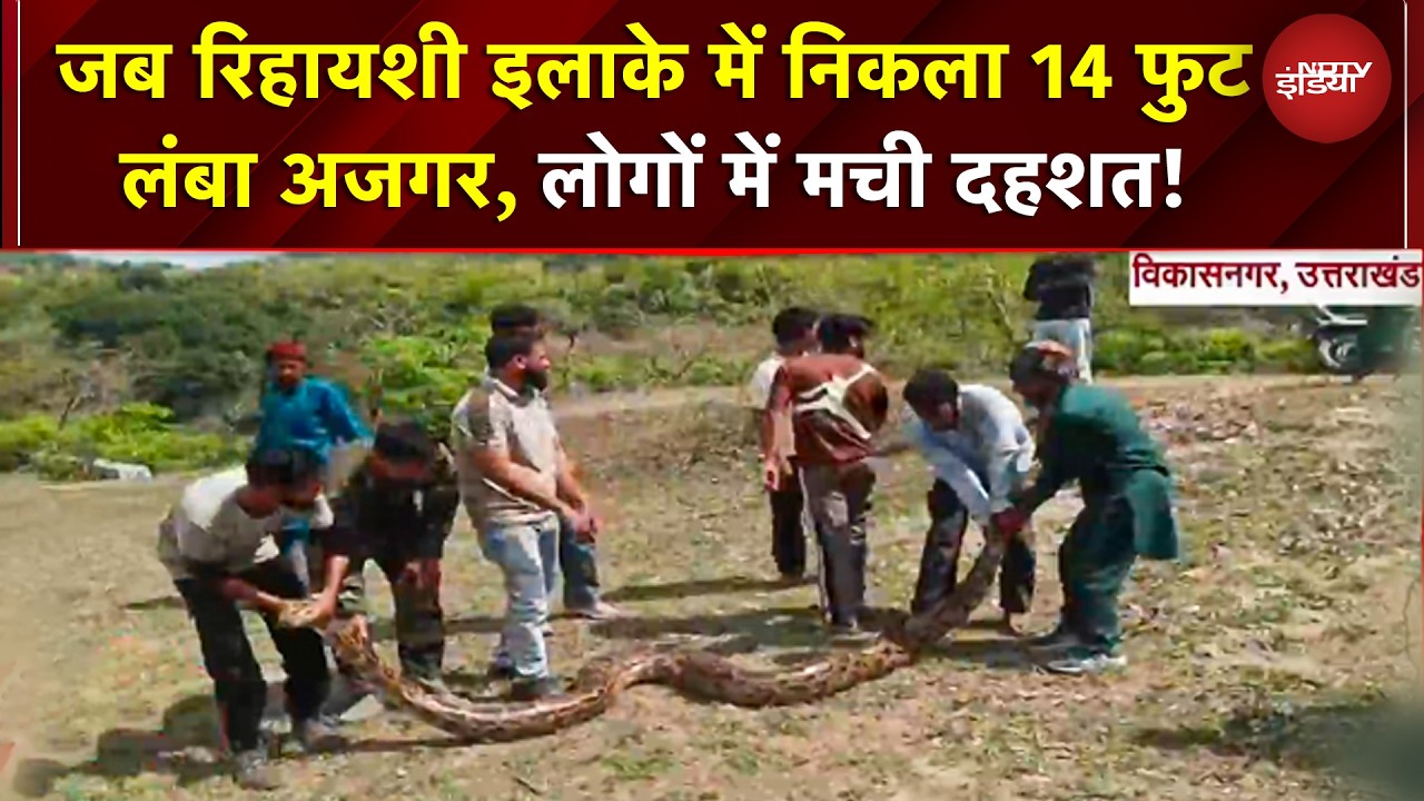 जब Uttarakhand के रिहायशी इलाके में निकला 14 फुट लंबा Python, लोगों में मची दहशत | VIRAL snake video