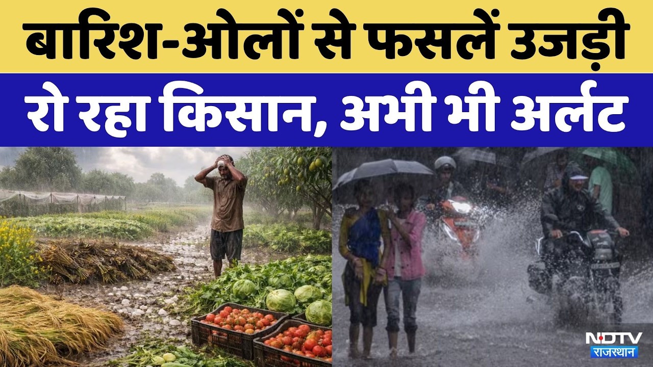 Rajasthan Weather: मौसम का कहर: Hailstorm से Crops को नुकसान | Rajasthan Top News | Rain Alert