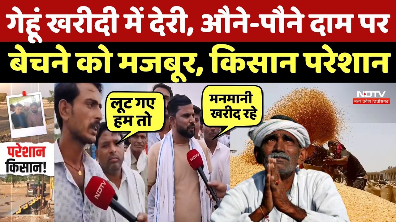 Gehu Kharidi 2026: MP में गेहूं खरीदी में देरी, औने-पौने दाम पर बेचने को मजबूर, किसानों का छलका दर्द