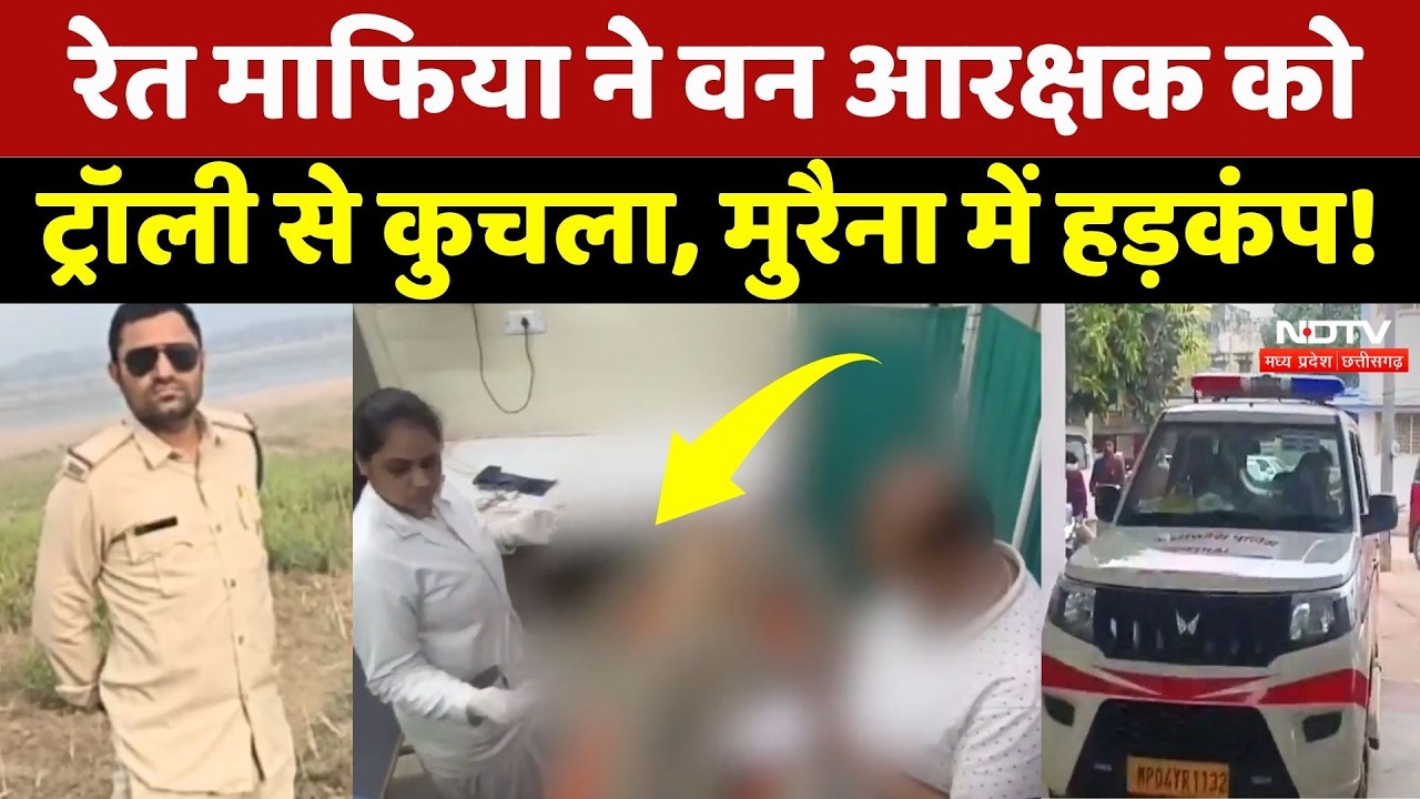 Morena News: रेत माफिया ने ड्यूटी पर तैनात वन आरक्षक को ट्रैक्टर-ट्रॉली से कुचला! NDTV MPCG News