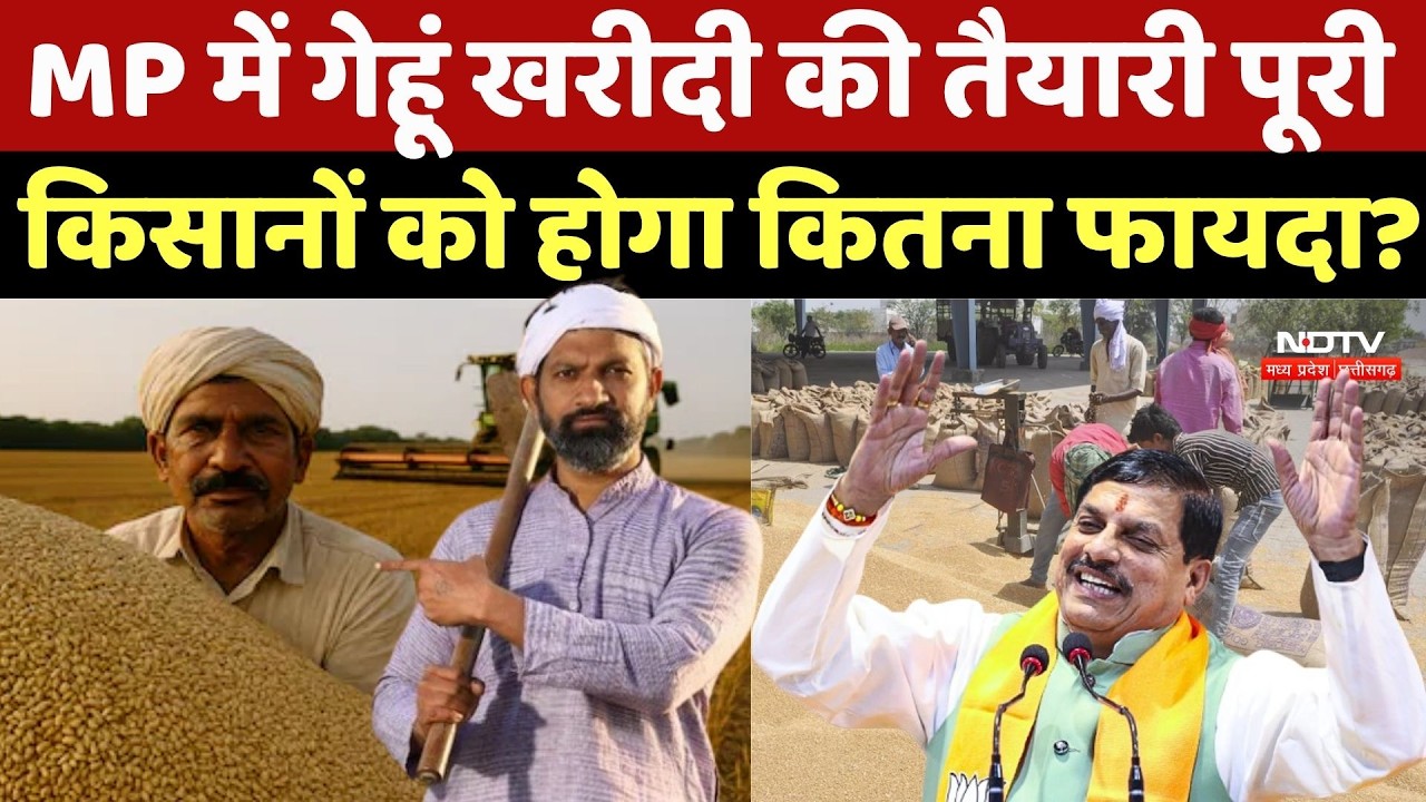Wheat Procurement: MP में गेहूं खरीदी की तैयारी पूरी, किसानों को होगा कितना फायदा? Top Breaking News
