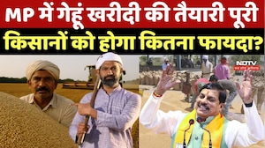 Wheat Procurement: MP में गेहूं खरीदी की तैयारी पूरी, किसानों को होगा कितना फायदा? Top Breaking News
