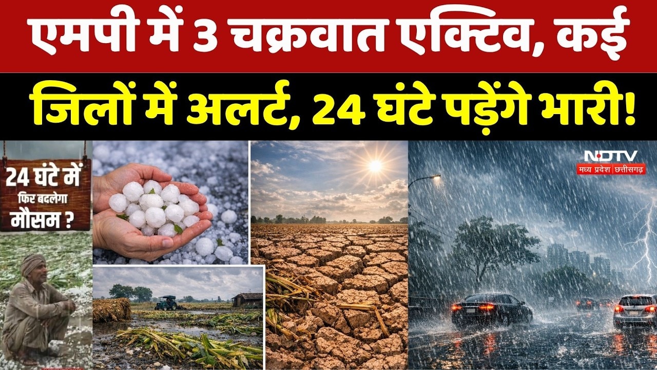 MP Weather Alert: इन जिलों में अगले 24 घंटे पड़ेंगे भारी, मौसम विभाग का बड़ा अलर्ट! NDTV MPCG News