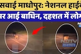 Sawai Madhopur: National Highway पर आई बाघिन, दहशत में लोग! | Latest News