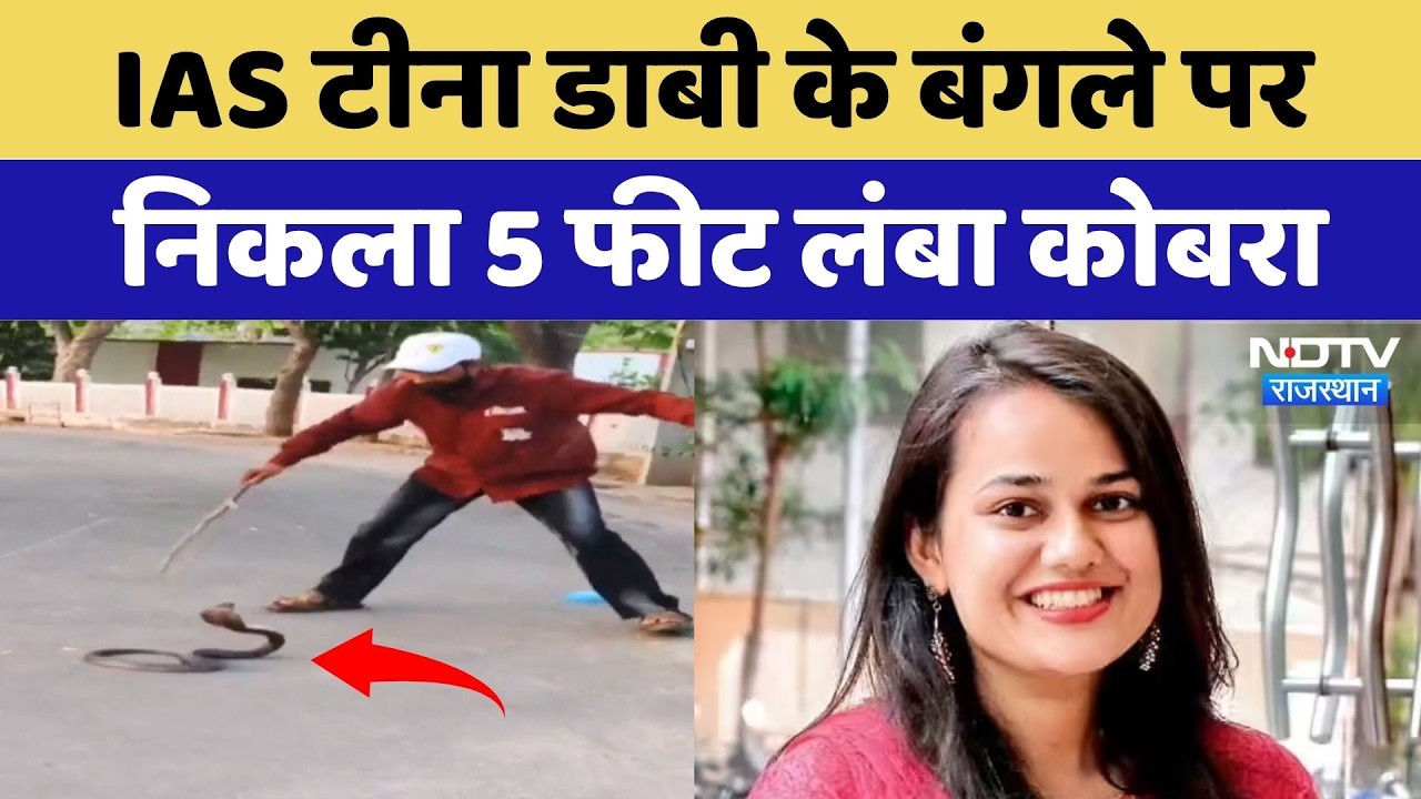 IAS Tina Dabi के बंगले पर निकला 5 Feet Long Cobra | Latest News | Breaking News