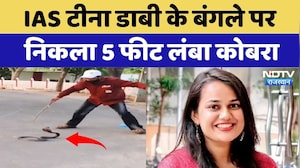 IAS Tina Dabi के बंगले पर निकला 5 Feet Long Cobra | Latest News | Breaking News