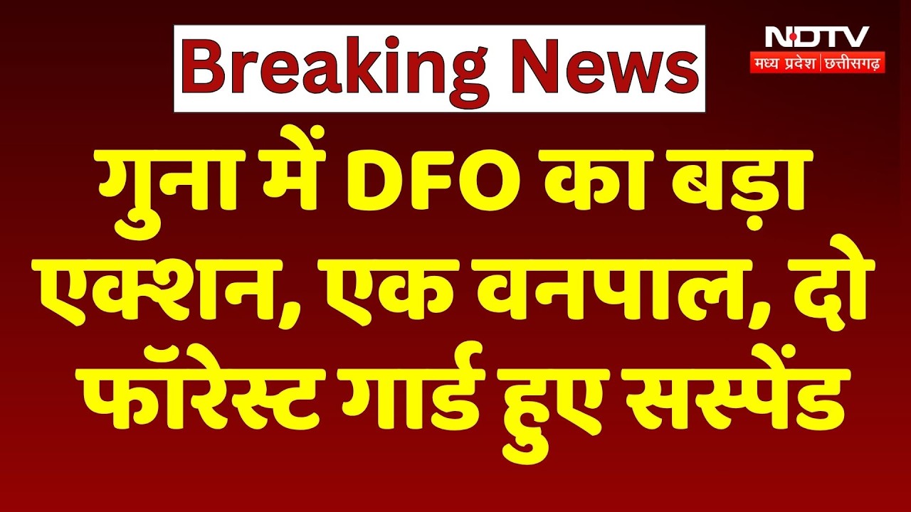 Guna Forest Action: DFO का बड़ा एक्शन, वनपाल समेत 2 फॉरेस्ट गार्ड सस्पेंड। Breaking News । MP News
