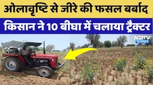 Phalodi News: किसान ने जीरे की खड़ी फसल पर चलाया दिया ट्रैक्टर! Farmers News | Crop Damage |Rajasthan