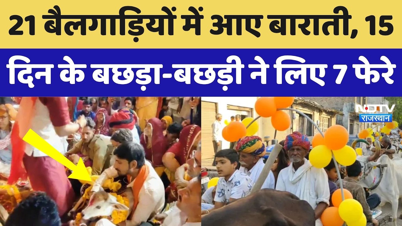 Rajasthan Unique Marriage: भीलवाड़ा में अनोखी 'गो-नंदी' शादी, 21 बैलगाड़ियों में आए हजारों बाराती!