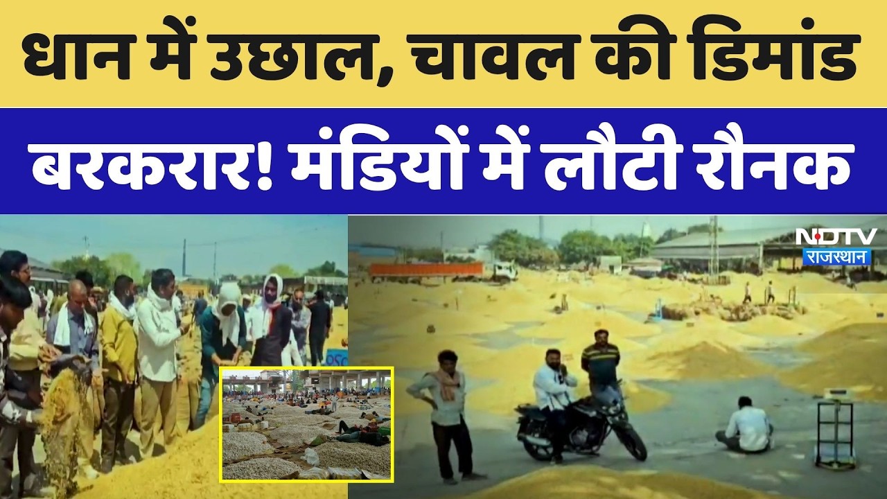 धान में उछाल, चावल की डिमांड बरकरार! मंडियों में लौटी रौनक