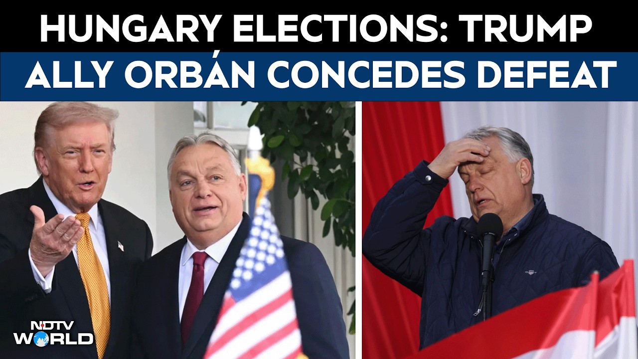 Viktor Orban Hungary | Hungarian PM & Trump Ally Viktor Orbán Concedes Defeat In Key Elections