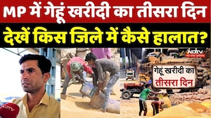 MP Gehu Kharidi 2026: गेहूं खरीदी का तीसरा दिन, देखें किस जिले में कैसे हैं हालात?