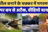 Kota News: Crocodiles पर सुतली Bomb फेंककर युवक ने बनाई Reel | Video Viral | Crime News