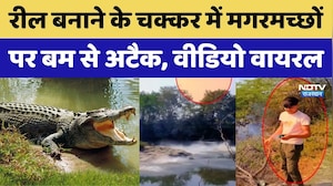 Kota News: Crocodiles पर सुतली Bomb फेंककर युवक ने बनाई Reel | Video Viral | Crime News