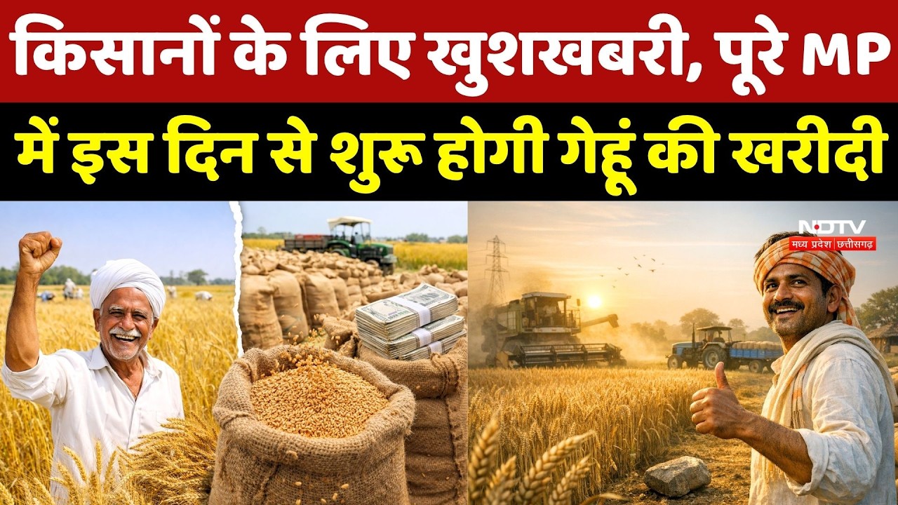 MP Gehu Kharidi 2026: Farmers के लिए खुशखबरी, इस दिन से शुरू होगी गेहूं की खरीदी