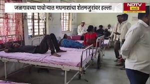 Jalgaon Pachora मध्ये मधमाशांचा शेतमजुरांवर हल्ला । NDTV Marathi News