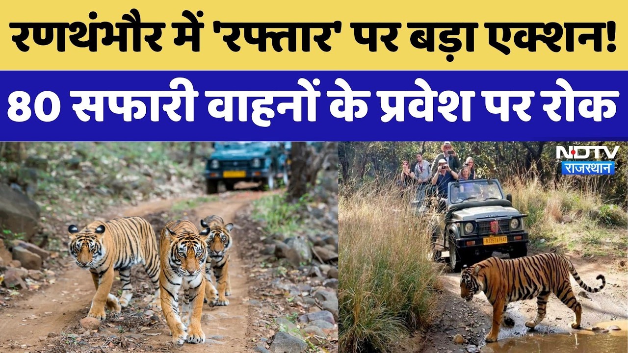 Ranthambore में 'रफ्तार' पर बड़ा Action!, नियमों की धज्जियां उड़ाना पड़ा भारी |Tiger Reserve |Breaking