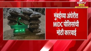 Mumbai च्या Andheri मध्ये MIDC पोलिसांची मोठी कारवाई, 22 किलो गांजा जप्त, दोन जणांना अटक |NDTV मराठी