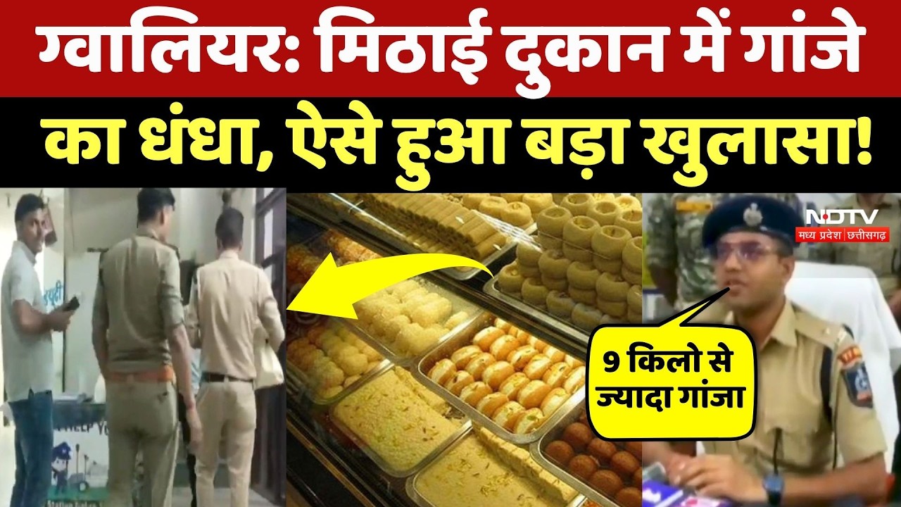 Gwalior News: मिठाई की दुकान पर बिक रहा था गांजा, पुड़िया समेत एक आरोपी अरेस्ट | MP Crime News