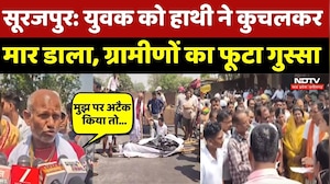 Elephant killed villager: युवक को हाथी ने कुचलकर मार डाला, ग्रामीणों का फूटा गुस्सा | Top News