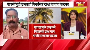 Sangli जिल्ह्यात वादळी वाऱ्यासह गारांचा पाऊस, शेतकऱ्यांचं मोठं नुकसान | Heavy Rain | NDTV मराठी