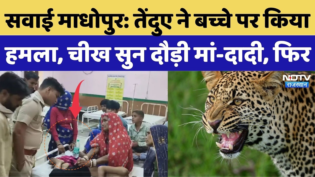 Sawai Madhopur Panther Attack: तेंदुए ने बच्चे पर किया हमला, चीख सुन दौड़ी मां-दादी, फिर | Breaking