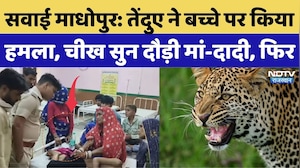 Sawai Madhopur Panther Attack: तेंदुए ने बच्चे पर किया हमला, चीख सुन दौड़ी मां-दादी, फिर | Breaking