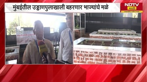 Mumbaiत पहिला Urban Farming प्रकल्प! Vile Parle कल्चरल सेंटरचा पुढाकार, उड्डाणपुलाखाली भाज्यांचे मळे