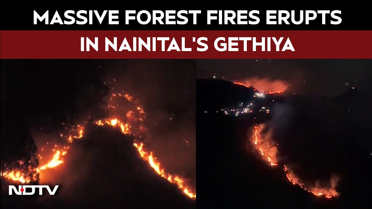 Uttarakhand News | Forest Fire Erupts In Nainital’s Gethiya, Forest Dept Rushes To Control Blaze