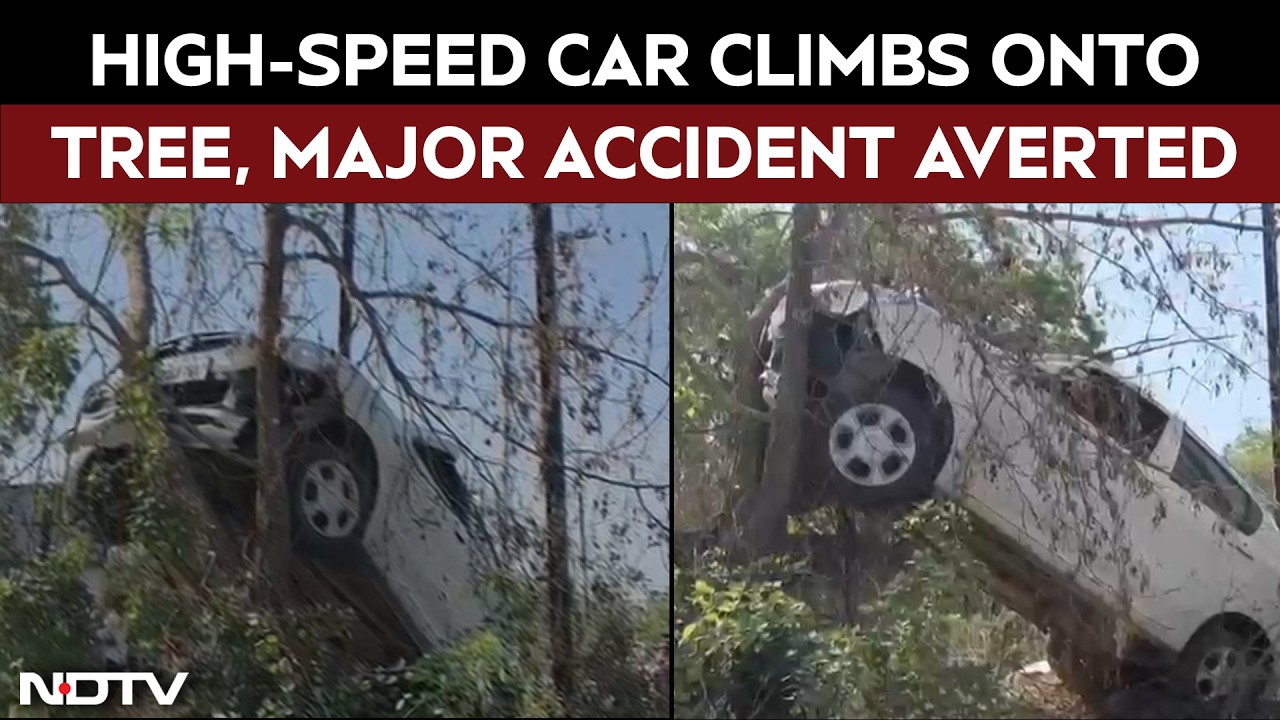 Viral: Car Climbs Onto Tree in Chhatrapati Sambhajinagar, Major Accident Averted