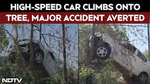 Viral: Car Climbs Onto Tree in Chhatrapati Sambhajinagar, Major Accident Averted