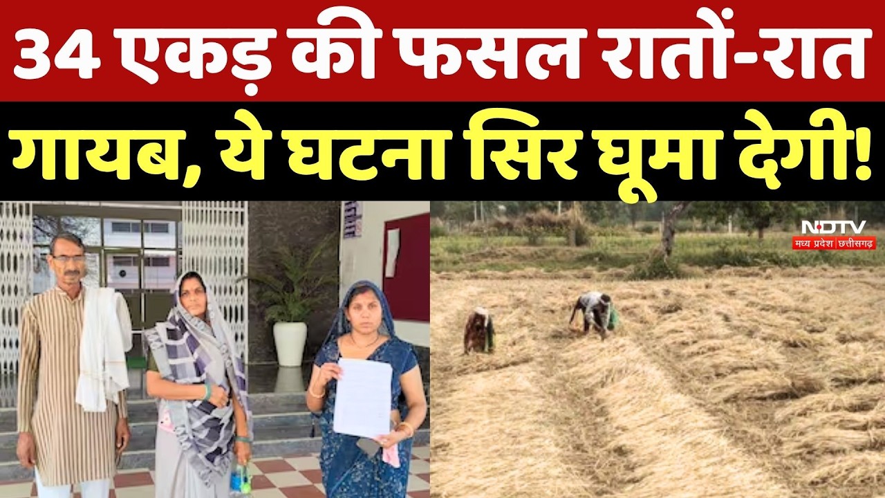 Sagar Mystery: 34 एकड़ की फसल रातों-रात गायब, ये घटना सिर घूमा देगी!