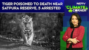 Radio-Collared Tiger Killed in Satpura: Rising Human&ndash;Wildlife Conflict in Madhya Pradesh
