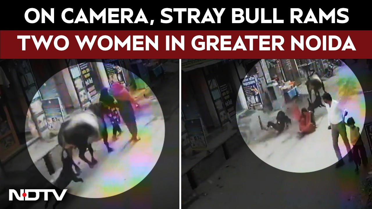 On Cam, Stray Bull Rams Two Women In Greater Noida