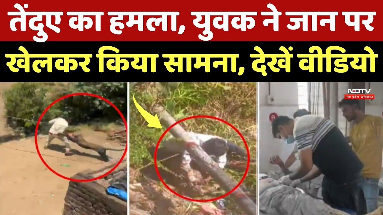 Dhar Panther Aattack News:तेंदुए का हमला, युवक ने जान पर खेलकर किया सामना, देखें वीडियो |Viral Video