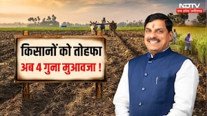 MP Cabinet Decision: CM Mohan Yadav का बड़ा फैसला, Farmers को मिलेगा भूमि अधिग्रहण पर 4 गुना मुआवजा!