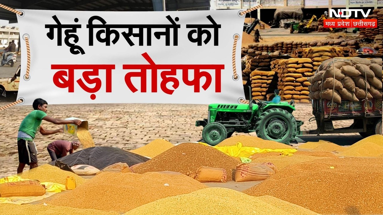 Farmers News: MP के किसानों के लिए खुशखबरी! अब होगी 100 लाख मीट्रिक टन Gehu की Kharidi | CM Mohan