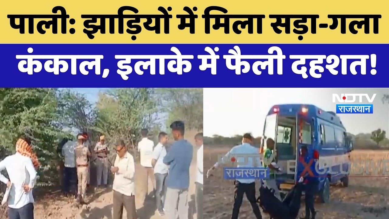 Pali Skeleton Found: झाड़ियों में मिला सड़ा-गला कंकाल, इलाके में फैली दहशत!