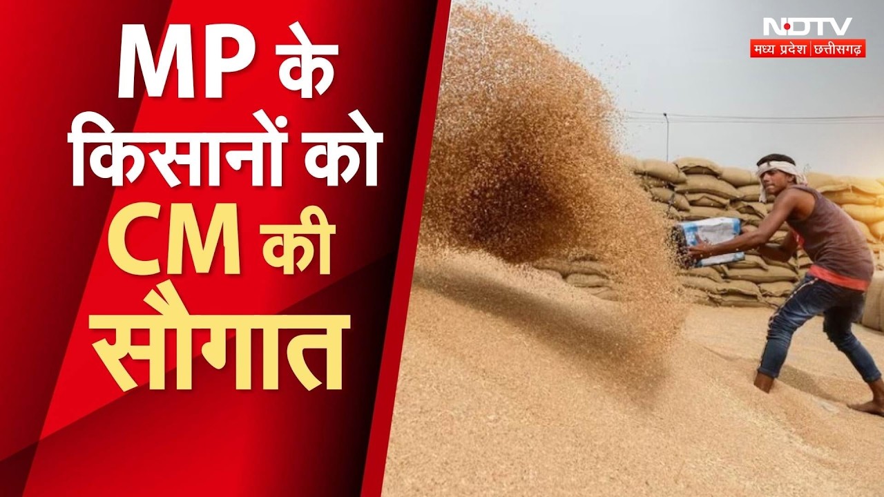 MP Farmers News: गेहूं उपार्जन को लेकर CM Mohan Yadav की समीक्षा बैठक, किसानों के लिए लिए बड़े फैसले