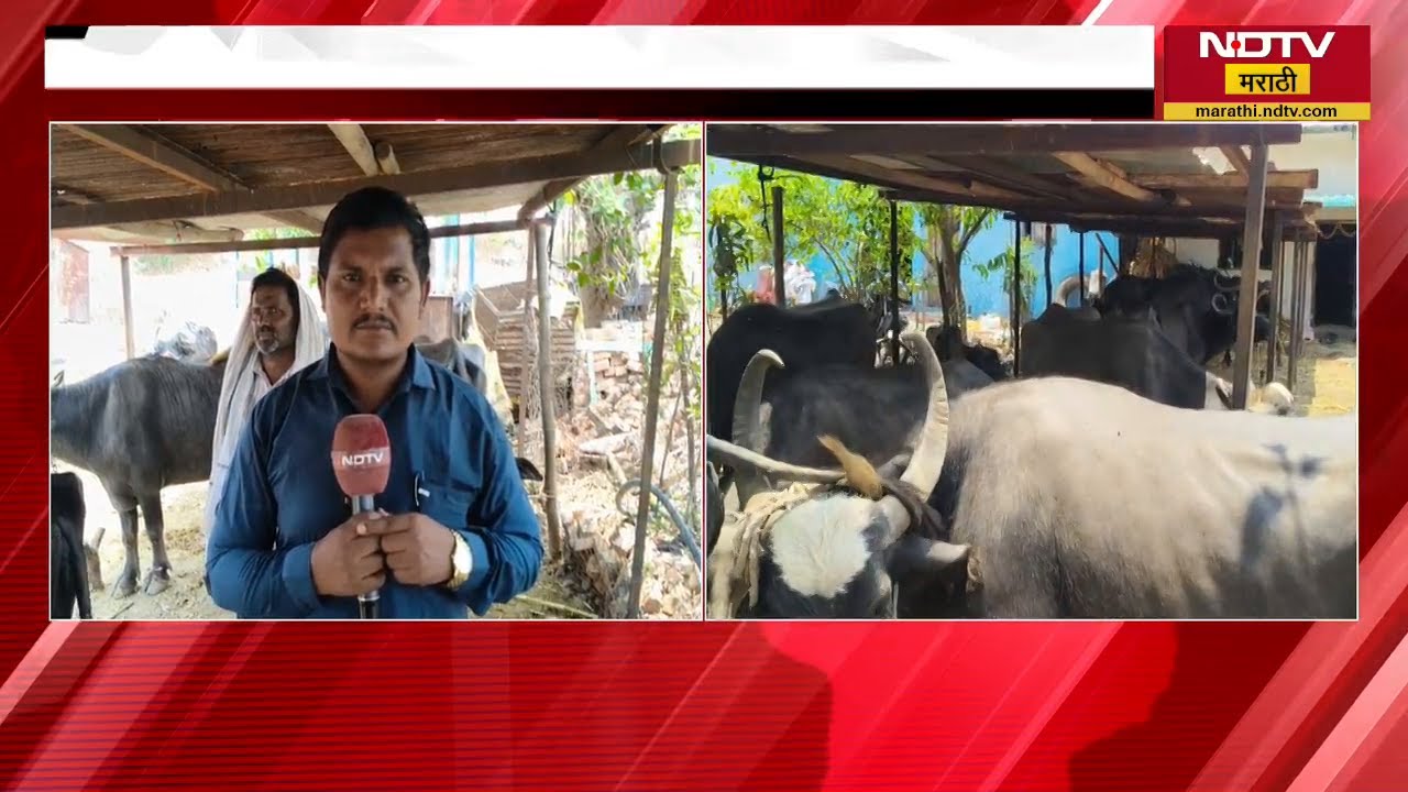 Hingoli Temperature | हिंगोलीत भीषण उष्णतेची लाट,तापमान 42 अंश सेल्सिअसच्या वर;याचाच घेतलेला आढावा