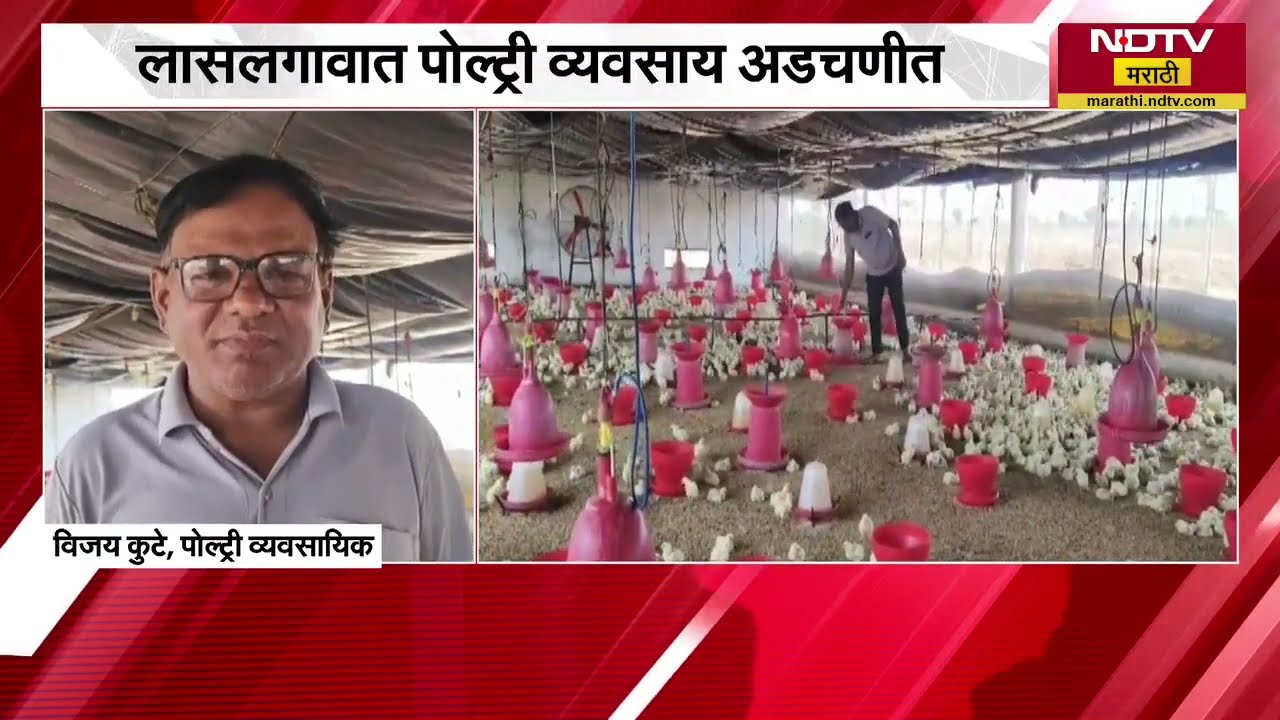 उन्हाचा कडाका वाढला, पोल्ट्री व्यवसायाला फटका; लासलगावात पोल्ट्री व्यवसाय अडचणीत | Heatwave
